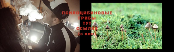 jwh Болхов