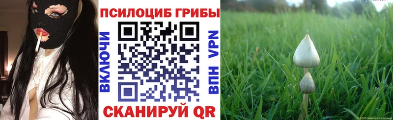 Галлюциногенные грибы ЛСД  Гороховец 